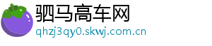 驷马高车网